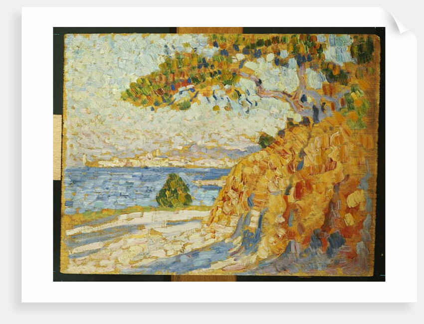 Countryside at Noon, 1895 by Theo van Rysselberghe