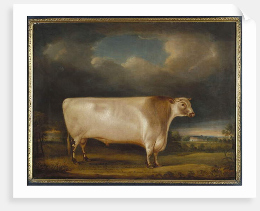 Comet, a light roan short-horn bull in a landscape, 1811 by Thomas Weaver