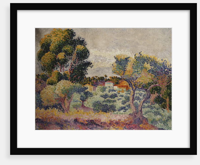 Eucalyptus and Olive Grove by Henri-Edmond Cross