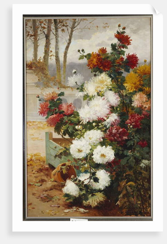 Chrysanthemums in a Walled Garden by Eugene Henri Cauchois