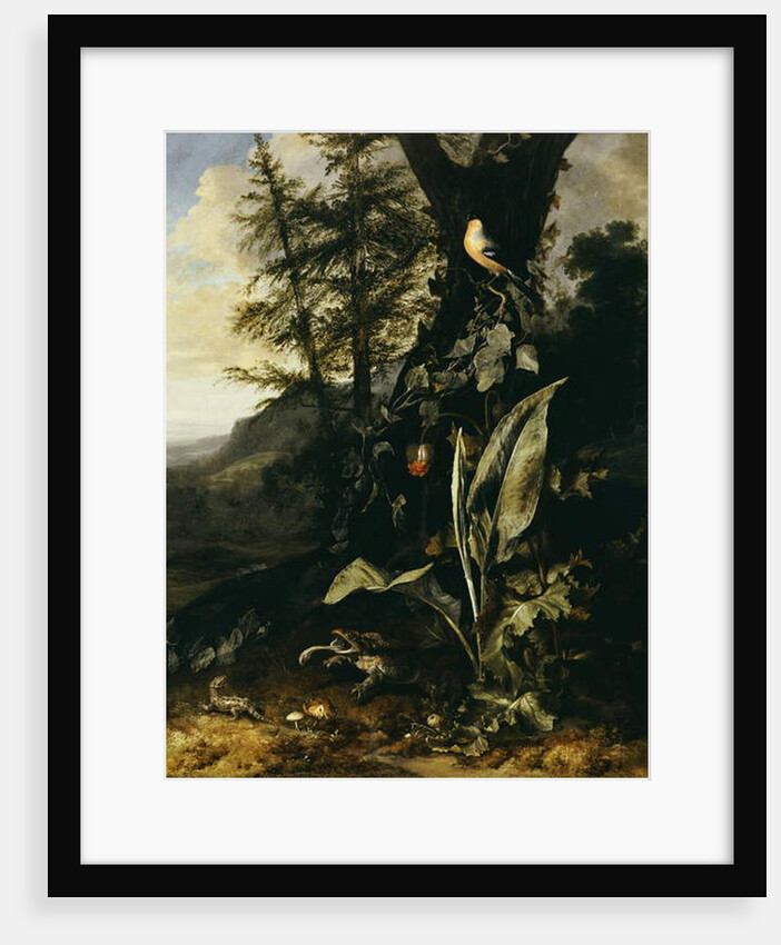 A Forest Floor with a Toad and a Lizard, a Bullfinch on a Branch of Ivy above, and a Mountain beyond by Matthias Withoos