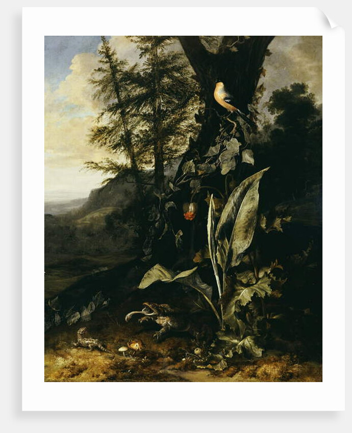 A Forest Floor with a Toad and a Lizard, a Bullfinch on a Branch of Ivy above, and a Mountain beyond by Matthias Withoos