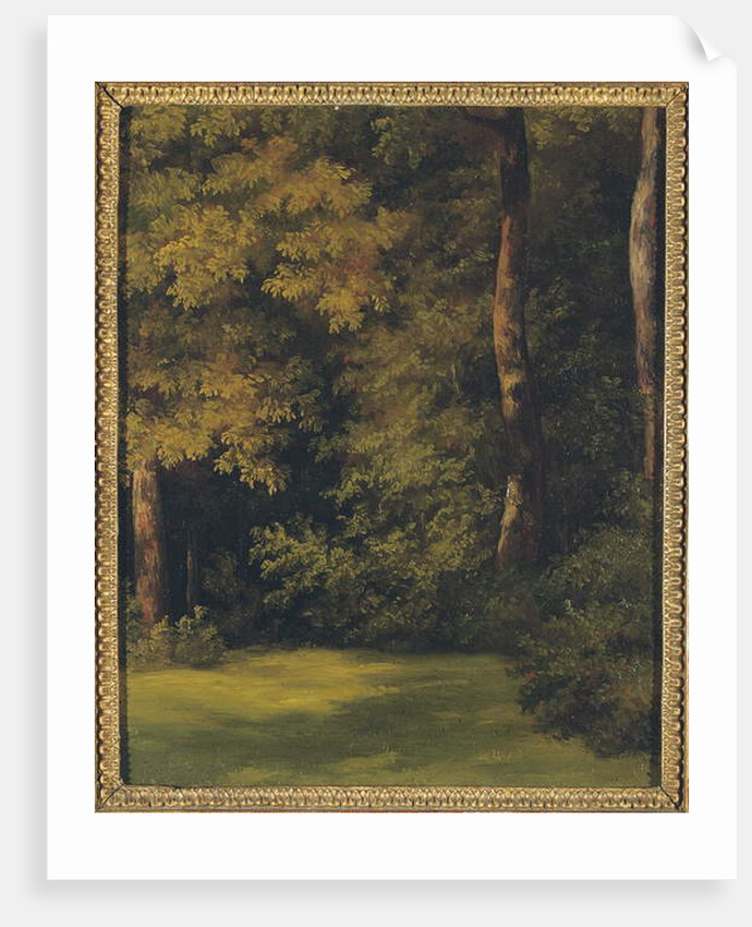 A woodland clearing, 1840 by Jean-Michel Cels