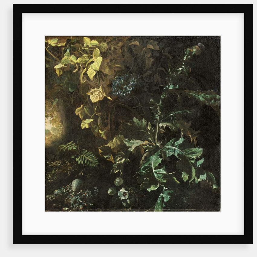 Thistles and other plants on a forest floor, a landscape beyond, fragment by Matthias Withoos