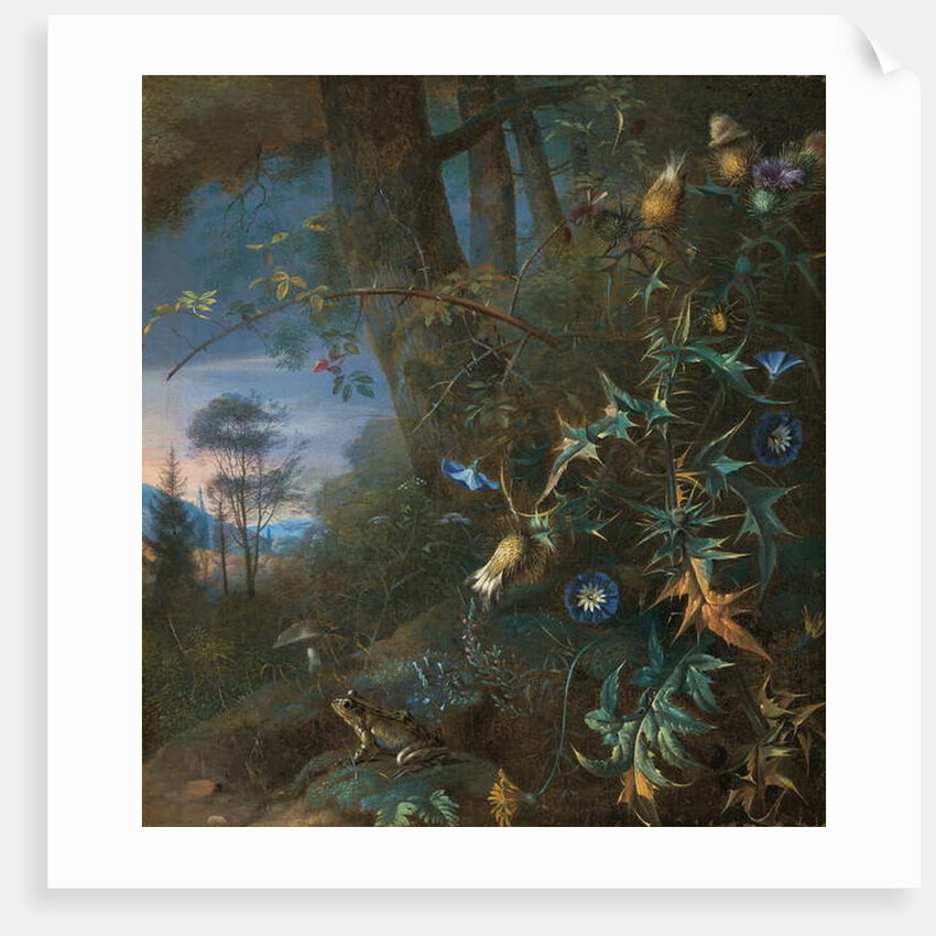 forest floor still life with a frog and a mushroom, mountains beyond by Matthias Withoos