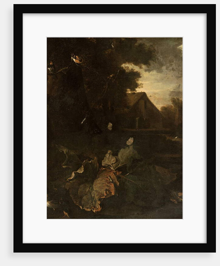 Forest floor still life with a chaffinch, swallow, other birds and butterflies, landscape with a farmhouse beyond by Matthias Withoos