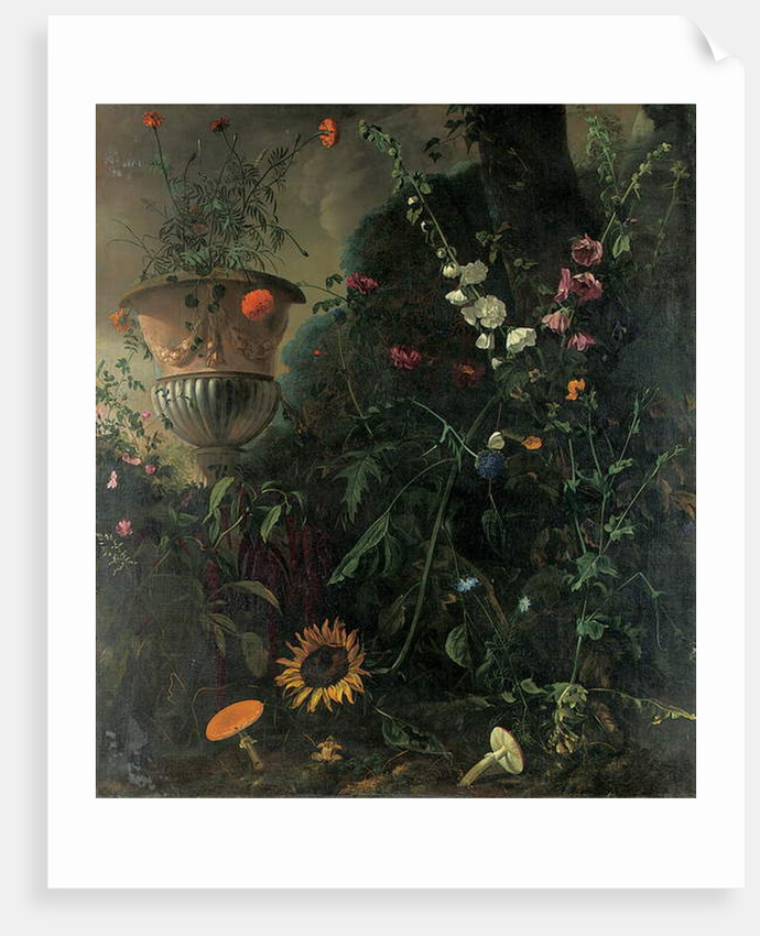 Hollyhocks, roses, a blue-lace flower, sunflower and toadstools, with marigolds in an urn by a tree by Matthias Withoos