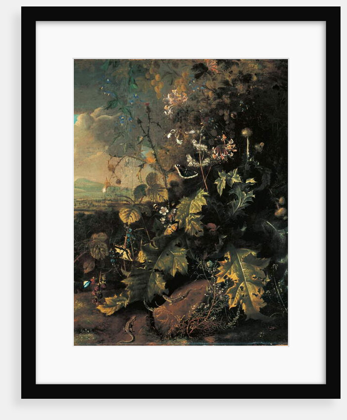 Forest floor with butterflies and lizards by Matthias Withoos