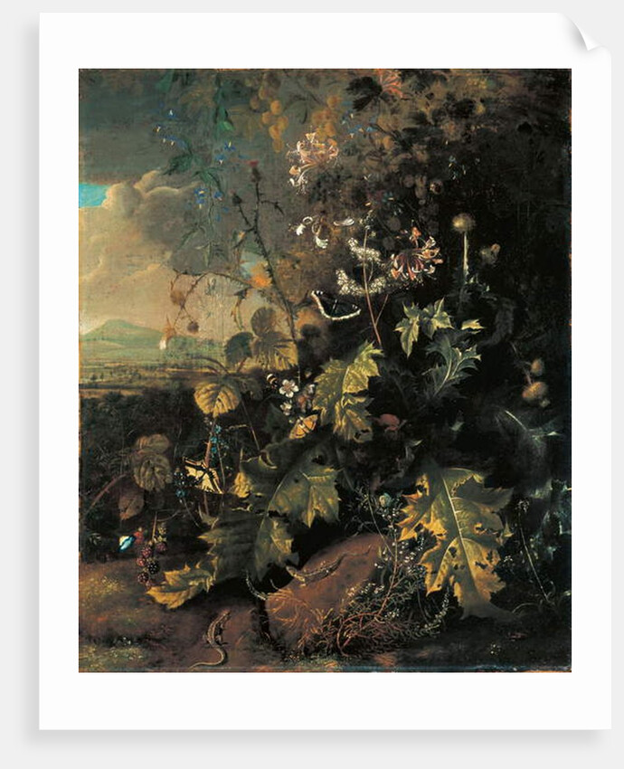 Forest floor with butterflies and lizards by Matthias Withoos