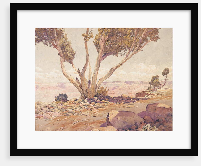 Grand Canyon, 1925 by Gunnar Widforss