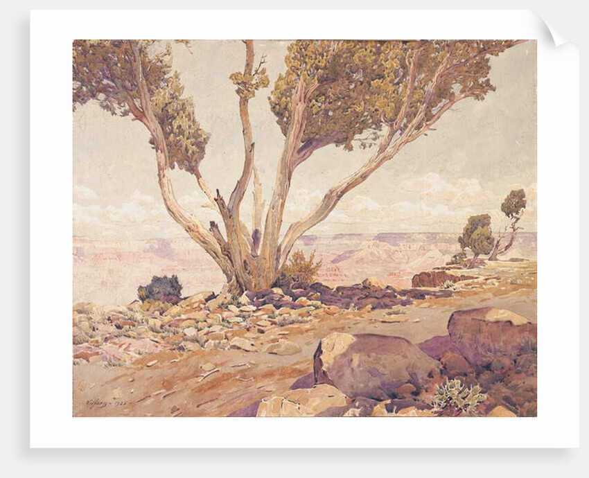 Grand Canyon, 1925 by Gunnar Widforss