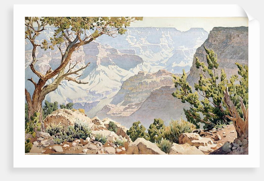 Grand Canyon by Gunnar Widforss