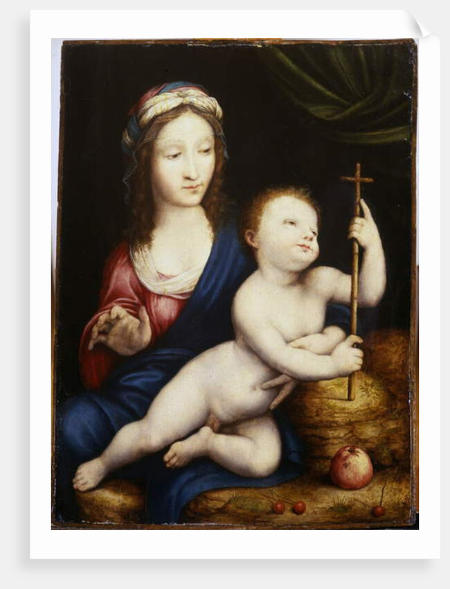 The Madonna and Child by Cornelis van Cleve