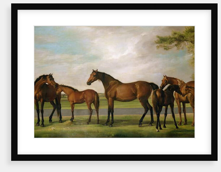 Mares and Foals Disturbed by an Approaching Storm, 1765 by George Stubbs