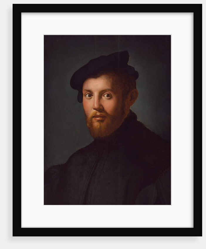 Portrait of a young man with a book by Agnolo di Cosimo Bronzino