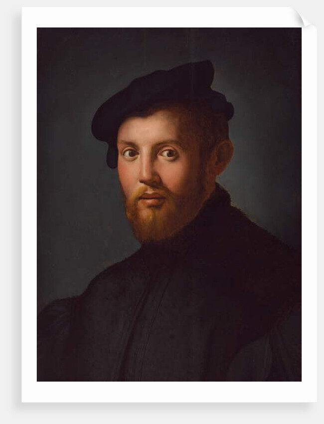 Portrait of a young man with a book by Agnolo di Cosimo Bronzino