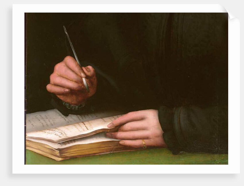 Portrait of a young man with a book by Agnolo di Cosimo Bronzino