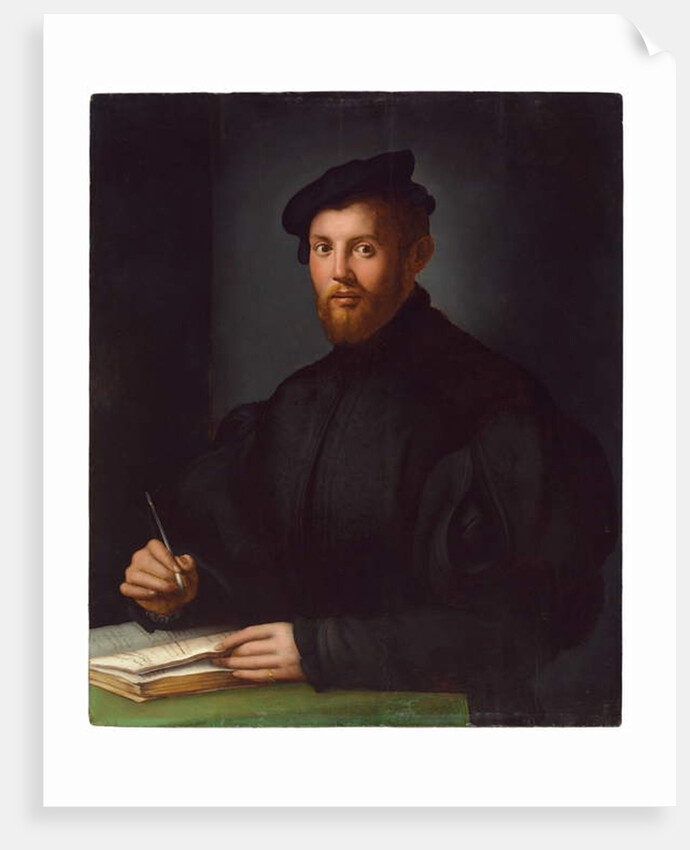Portrait of a young man with a book by Agnolo di Cosimo Bronzino