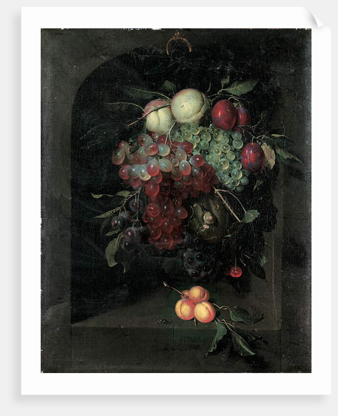 Swag of grapes, peaches, plums and cherries with a snail in a stone niche with a bunch of apricots and bee on a ledge, 1666 by Nicolaes Van Gelder