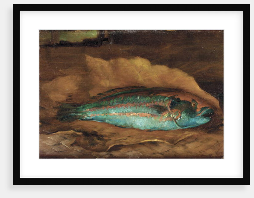 Study of the parrot fish, Samoa, 1890 by John La Farge or Lafarge