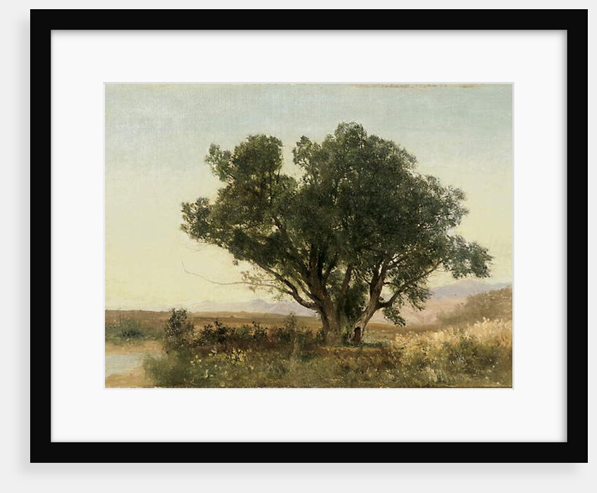 The Front Range, Colorado by John Frederick Kensett