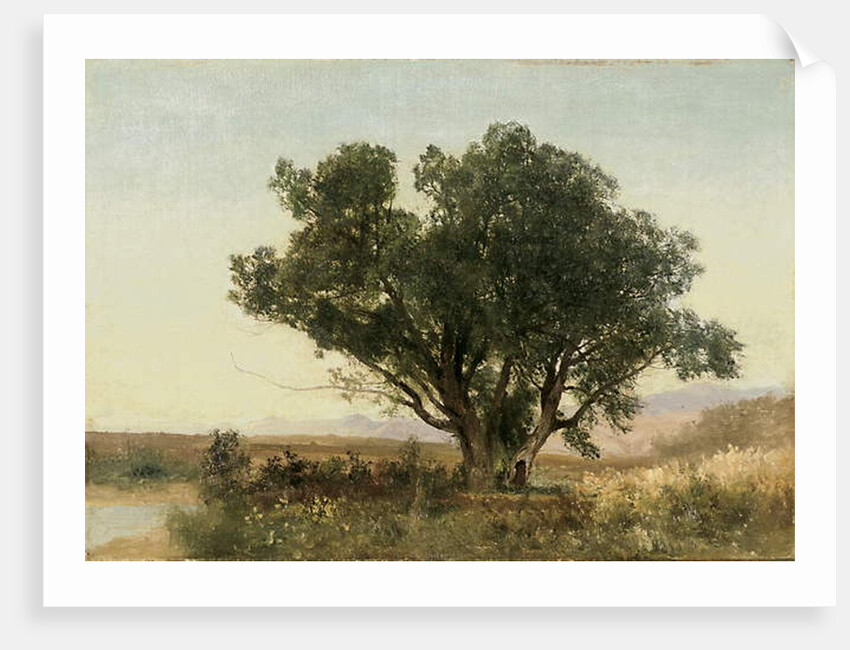 The Front Range, Colorado by John Frederick Kensett