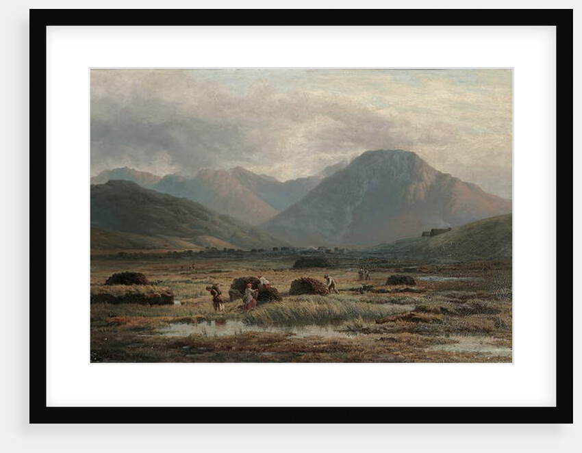 Peat Bog, Letterfrack, Connemara by Bartholomew Colles Watkins