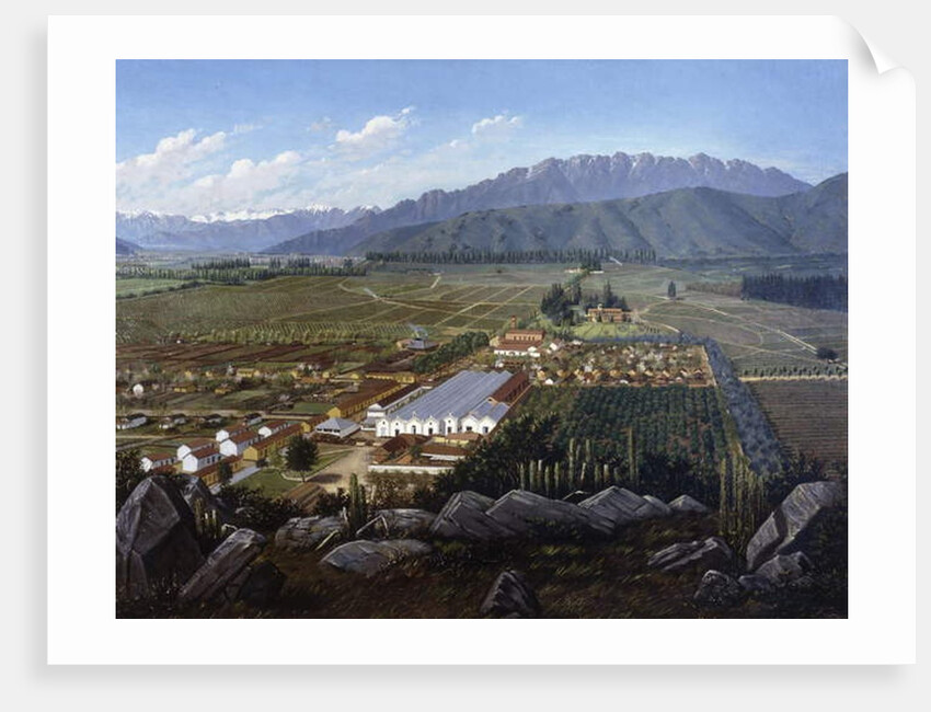 The Vineyard of Erranzuriz-Panquehue, Chile, 1896 by Daniel Escobar