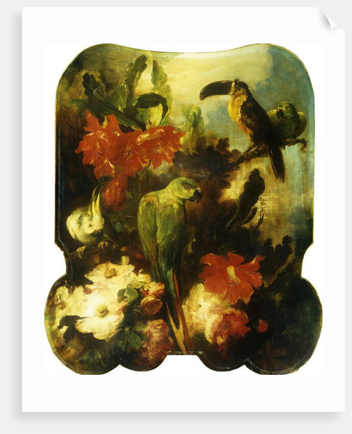 Exotic Birds and Flowers, 1893 by Ludwig Adam Kunz