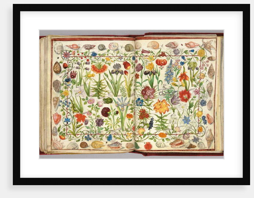 Pages from the Album Amicorum of Philipp Hainhofer, 1596-1633 by School European