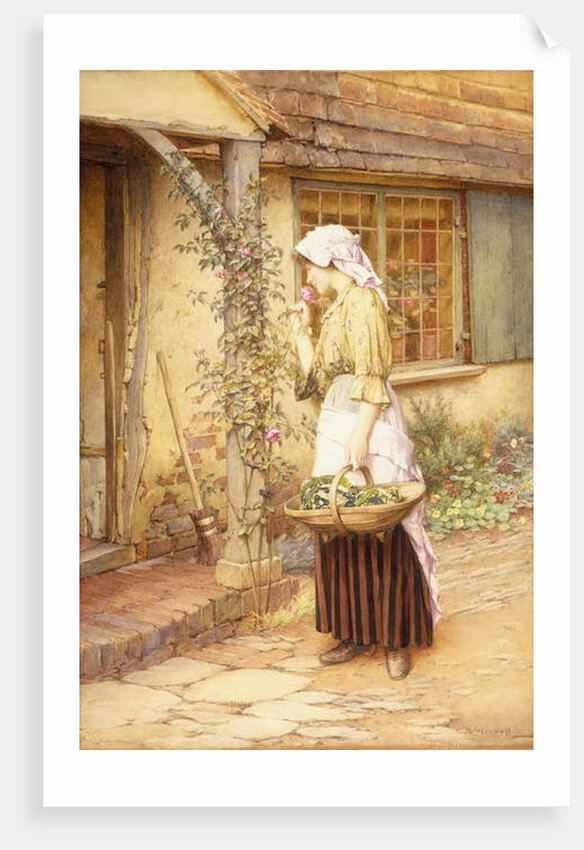 The Sweetest Rose by Charles Edward Wilson