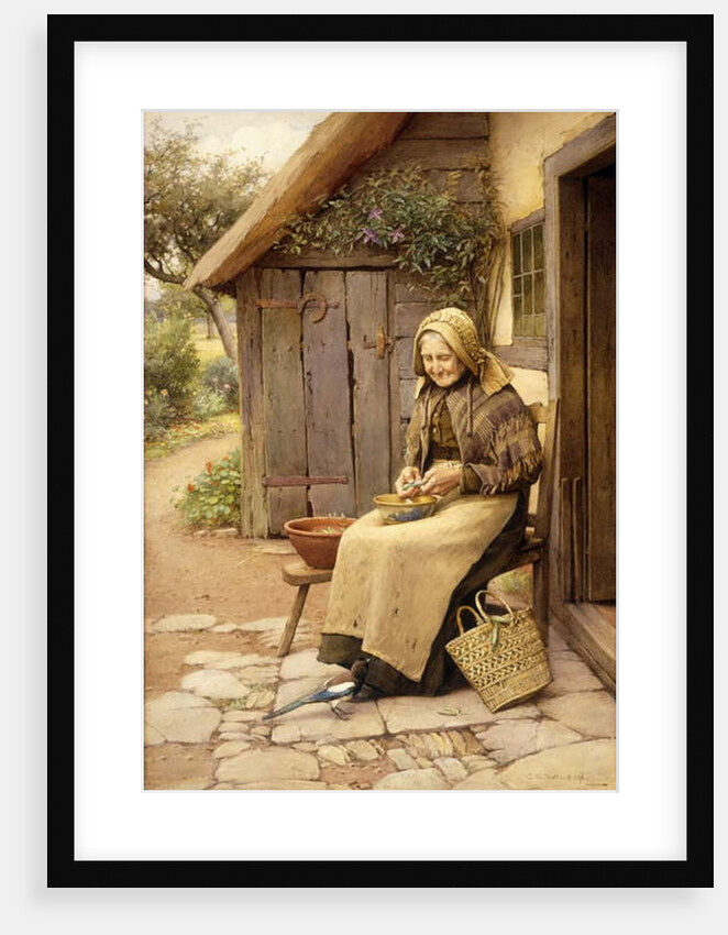 A Fine-Feathered Friend by Charles Edward Wilson