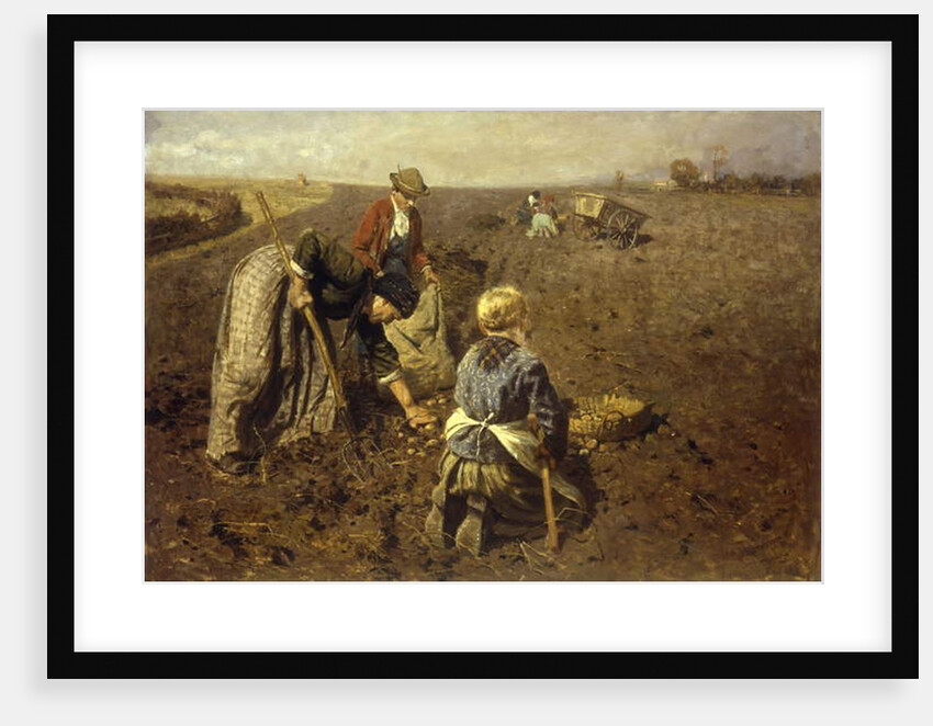 The Potato Harvest by Herman Hartwich