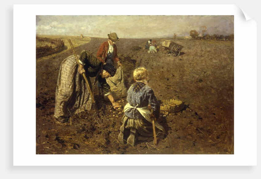 The Potato Harvest by Herman Hartwich