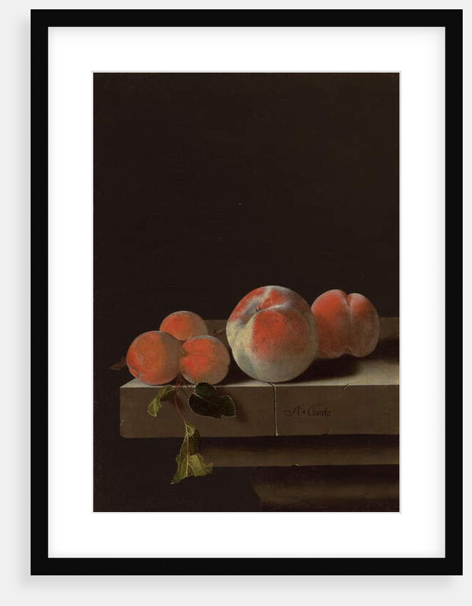 Peaches and apricots on a stone ledge by Adrian Coorte