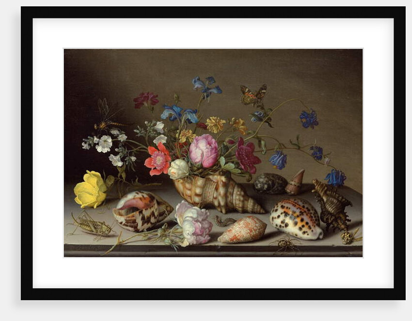 Flowers, shells and insects on a stone ledge by Balthasar van der Ast