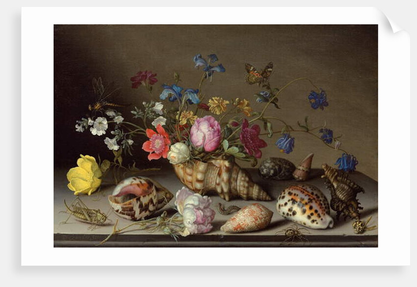 Flowers, shells and insects on a stone ledge by Balthasar van der Ast