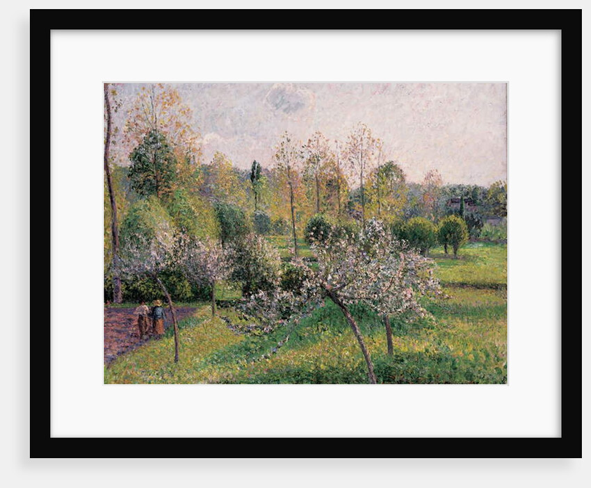 Apple Trees in Blossom, Eragny, 1895 by Camille Pissarro