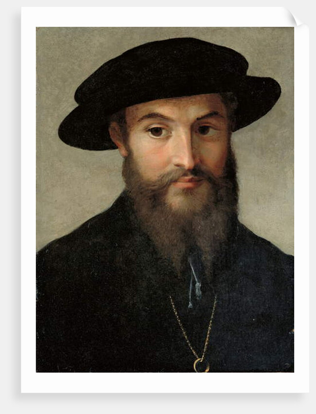 Portrait of a bearded man by Parmigianino