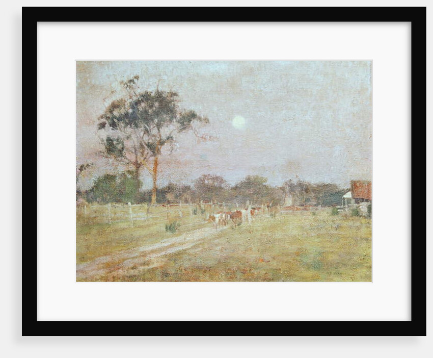 Evening by David Davies
