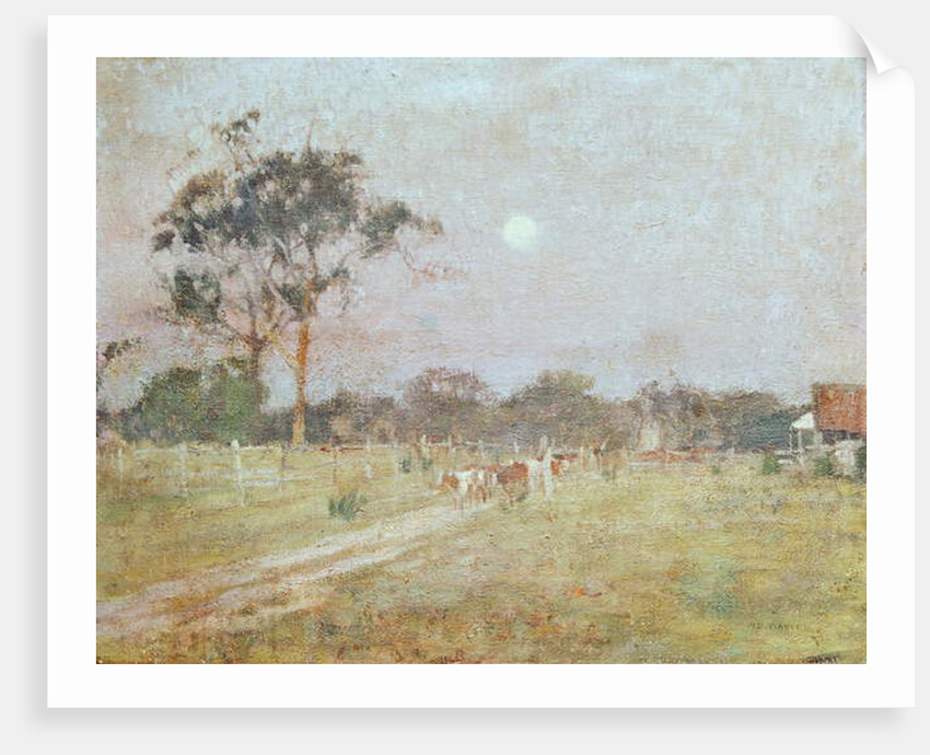 Evening by David Davies