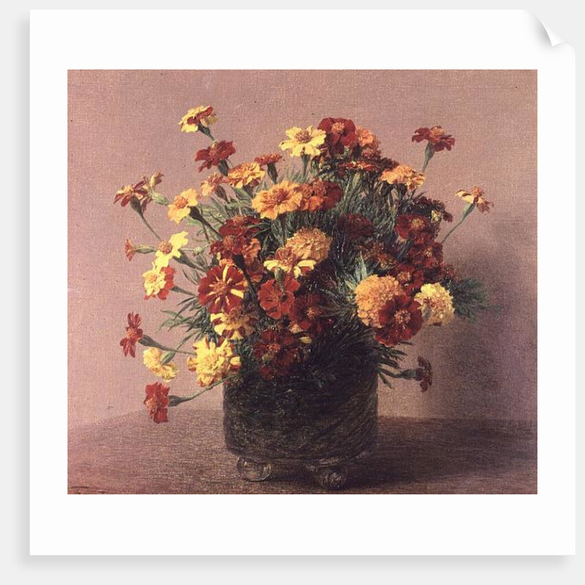 Oeillets d'Inde, 1893 by Ignace Henri Jean Fantin-Latour