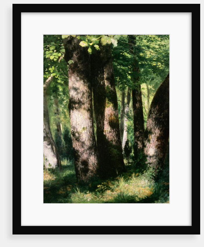 In the Forest of Fontainebleau by Pierre Auguste Renoir