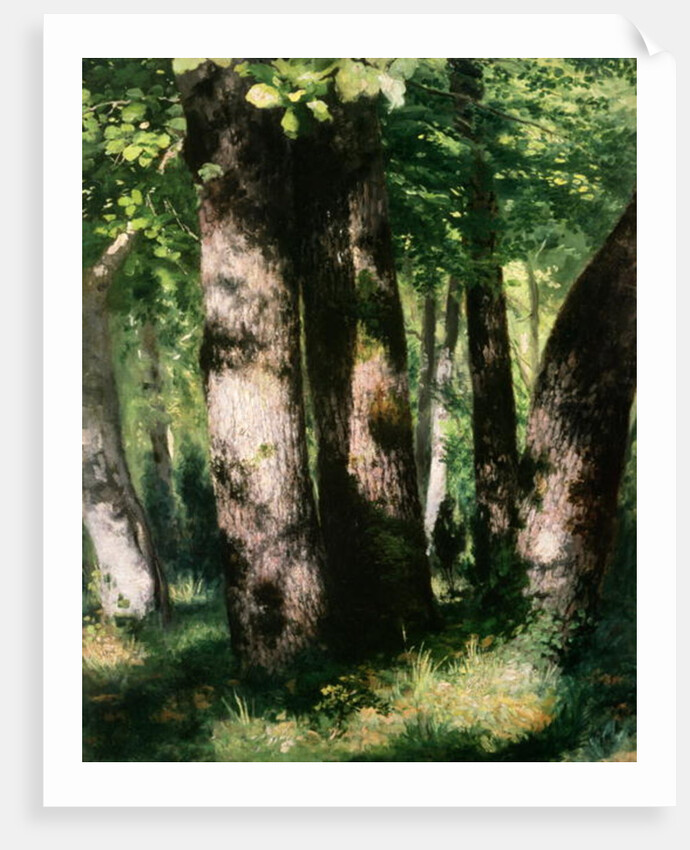 In the Forest of Fontainebleau by Pierre Auguste Renoir