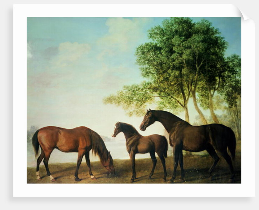 Shafto Mares and a Foal by George Stubbs
