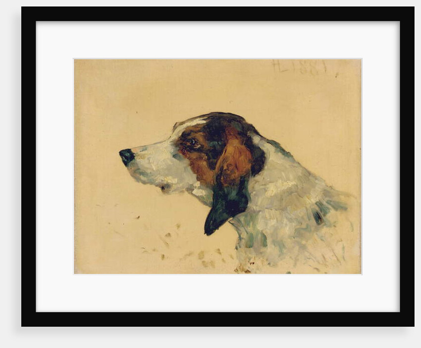 Chien de chasse, 1881 by Henri de Toulouse-Lautrec