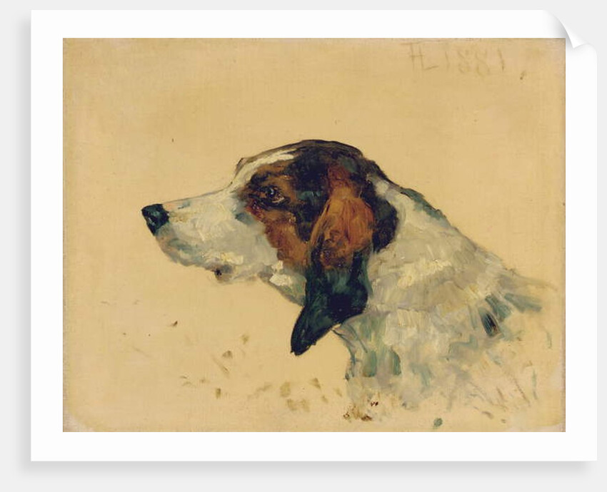 Chien de chasse, 1881 by Henri de Toulouse-Lautrec