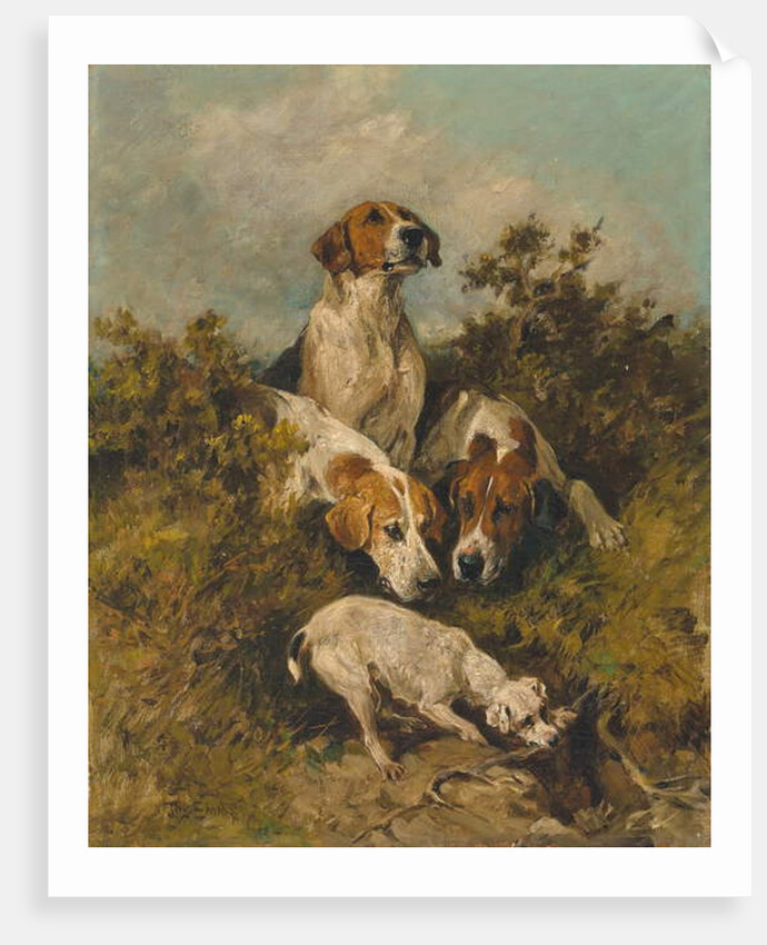 On the scent, 1992 by John Emms