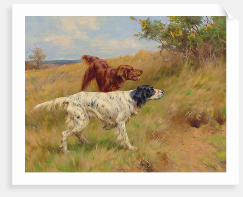 Setters, 2001 by Thomas Blinks