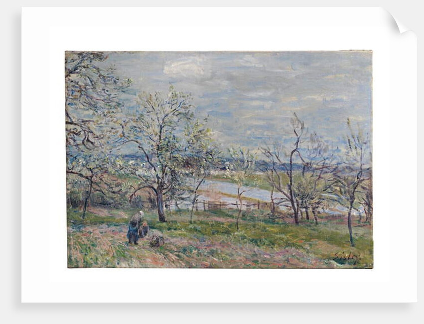 Spring at Veneux-Nadon, 1882 by Alfred Sisley